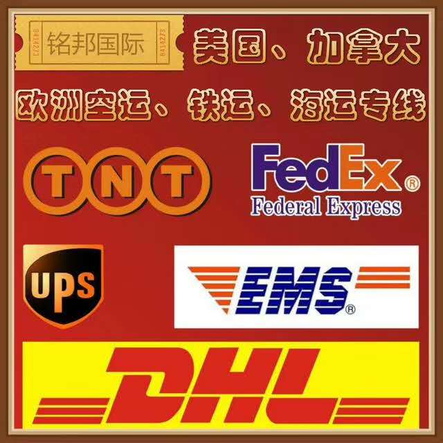 深圳國(guó)際貨運(yùn)代理行業(yè)深度解析 企業(yè)名錄與軟件服務(wù)賦能物流升級(jí)